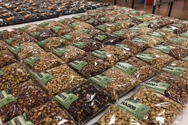 台湾5公斤装咖啡豆拍出52万（新台币）天价