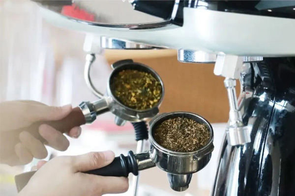 最近，用茶咖机这种泡茶方式引起了行业注意
