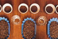 为什么有些咖啡豆比其他咖啡豆更难研磨？